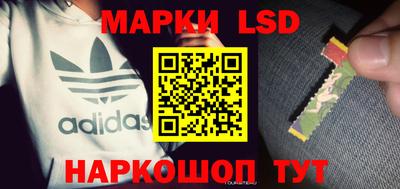 МДПВ Бердск
