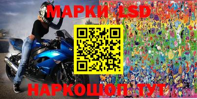 МДПВ Бердск