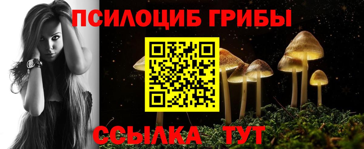 Галлюциногенные грибы мицелий Асино