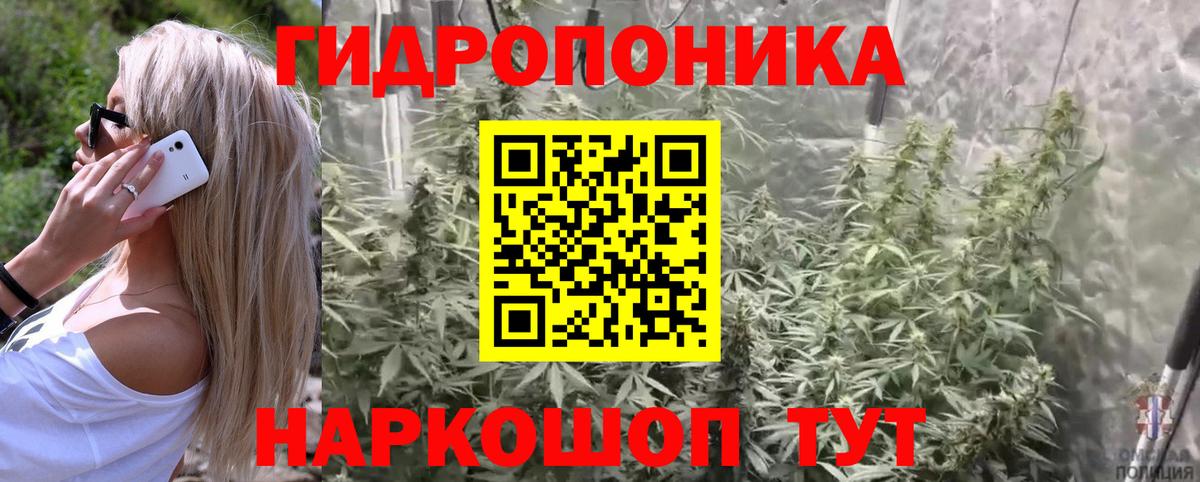 Шишки марихуана OG Kush  Конопля гибрид  Вход с VPN  Асино 